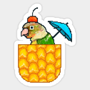 Pineapple Conure with Pineapple and Cherry Sticker